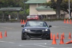 HMG 6146