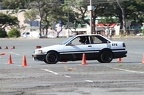 IMG 8856