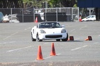 IMG 8931