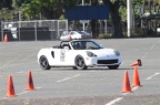 IMG 8935