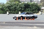 IMG 8955