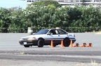 IMG 8956