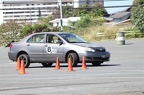 IMG 9056
