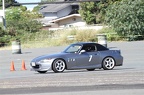 IMG 8993