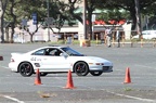IMG 8896