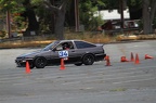 IMG 5243